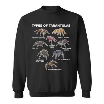 Types Of Tarantulas Pink Toe Chilean Mexican Hairy Spider  Sweatshirt