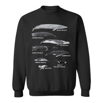 Types Of Whales Educational Sweatshirt | Mazezy