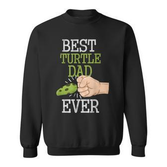 Vintage Best Turtle Dad Ever Fathers Day Animal Lovers Gift Gift For Mens Sweatshirt | Mazezy