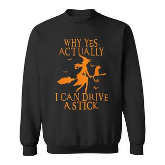 Why Yes Actually I Can Drive A Stick Halloween Witch & Cat V3 Men Women Sweatshirt Graphic Print Unisex - Thegiftio