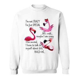 Flamingo I’M Not Crazy I’M Just Special No Wait Maybe I Am Crazy Sweatshirt | Mazezy