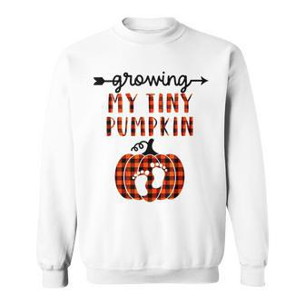 Growing My Tiny Pumpkin Thanksgiving Pregnancy Announcement Men Women Sweatshirt Graphic Print Unisex - Thegiftio UK