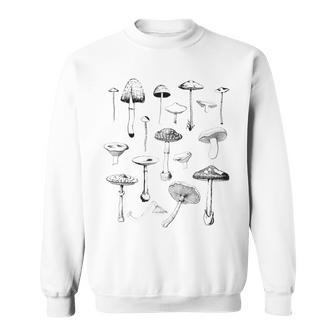 Mycology Fungi Foraging Mushroom Whisperer Cottagecore Men Women Sweatshirt Graphic Print Unisex - Seseable
