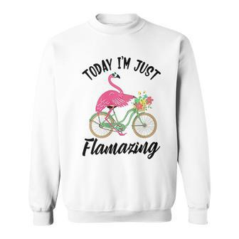 Today I Am Just Flamazing Flamingo Cycling Funny Men Women Sweatshirt Graphic Print Unisex - Thegiftio UK
