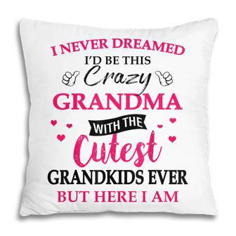 I Never Dreamed Id Be This Crazy Grandma With Grandkids Pillow | Mazezy