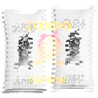 Im Not A Regular Grandma Im A Shih Tzu Puppy Grandma Pillow | Mazezy
