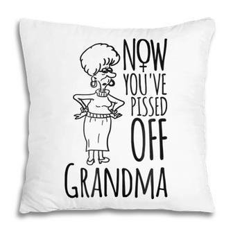 Now Youve Pissed Off Grandma Protest Poster Pillow | Mazezy