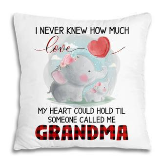 Someone Called Me Grandma Elephant Family Pillow | Mazezy