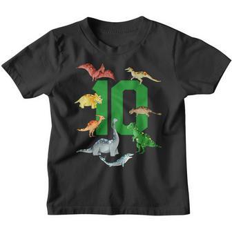 10 Year Old 10Th Birthday Boy T Rex Dinosaur Youth T-shirt - Thegiftio UK
