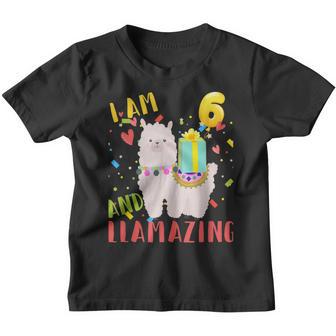 6 Years Old 6Th Birthday Llama Birthday Girl Gift V9 Youth T-shirt - Thegiftio UK