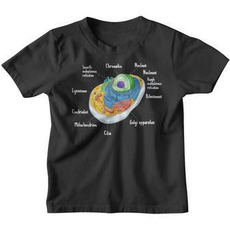 Anatomy Of Cell Biology Biologist Science Student Graduation Youth T-shirt - Thegiftio UK