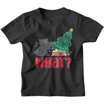 Cat What Funny Cat Lover Christmas Men Boys Kids Youth T-shirt - Thegiftio UK
