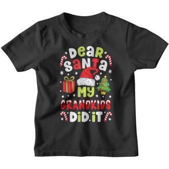 Dear Santa My Grandkids Did It Candy Canes Funny Christmas V2 Youth T-shirt - Thegiftio UK