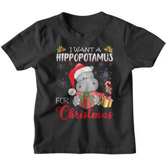 Funny I Want A Hippopotamus For Christmas Xmas Hippo For Kid V2 Youth T-shirt - Thegiftio UK
