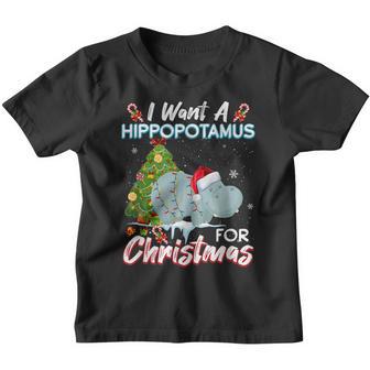 Funny I Want A Hippopotamus For Christmas Xmas Hippo For Kid V4 Youth T-shirt - Thegiftio UK
