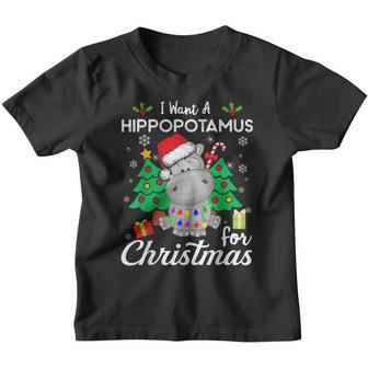 Funny I Want A Hippopotamus For Christmas Xmas Kid Women Men Youth T-shirt - Thegiftio UK