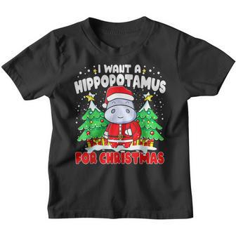 I Want A Hippopotamus For Christmas Xmas Hippo For Kid V9 Youth T-shirt - Thegiftio UK