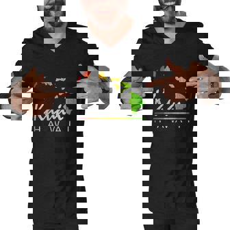 Kauai Hawaii Distressed Vintage Look Men V-Neck Tshirt - Thegiftio