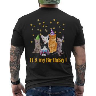 Its My Birthday Cute Cats Meow Men's Back Print T-shirt | Mazezy