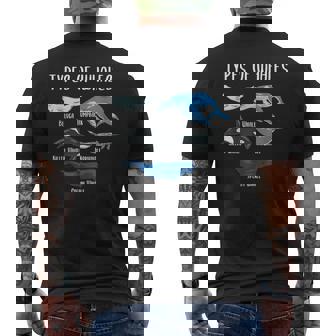 Types Of Whales Chart Whale Lover Men's T-shirt Back Print - Thegiftio