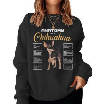 Anatomy Of A Black Chihuahua Funny Mom Dad Lover Theme Gifts Women Crewneck Graphic Sweatshirt - Seseable