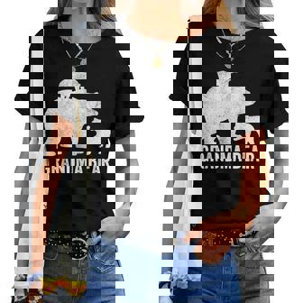 Grandma Bear Two Cub Grandmom Women T-shirt - Thegiftio