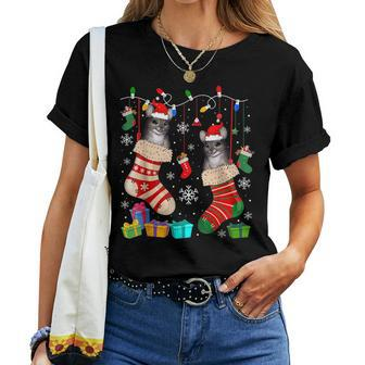 Two Santa Chinchilla In Christmas Socks Chinchilla Lover Women T-shirt | Mazezy