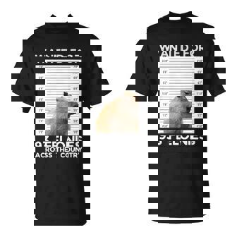 Capybara Mugshot Wanted For 93 Felonies Across The Country Unisex T-Shirt - Monsterry