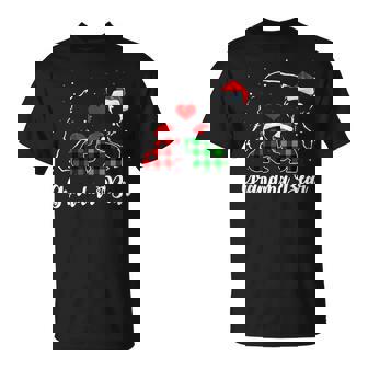 Grandma Bear Two Kids Christmas Pajama Matching Family Gift Unisex T-Shirt | Mazezy