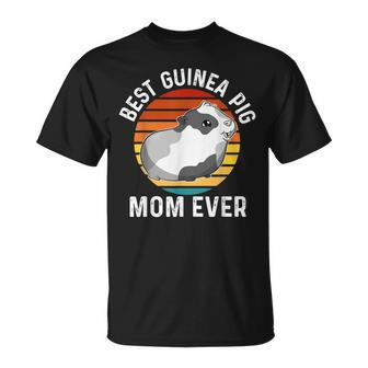Guinea Pig For Mom Wife Guinea Pig Lover Owner T-shirt - Thegiftio UK