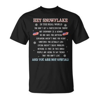 Hey Snowflake In The Real World Proud Veteran T T-Shirt - Seseable