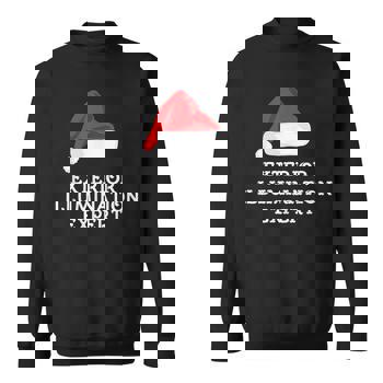 Exterior Illumination Expert Christmas Light Decorator Shirt