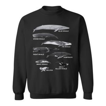 Types Of Whales Educational Long Sleeve T-Shirt T-Shirt | Mazezy