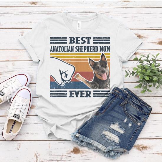 Australian cattle hot sale dog shirt