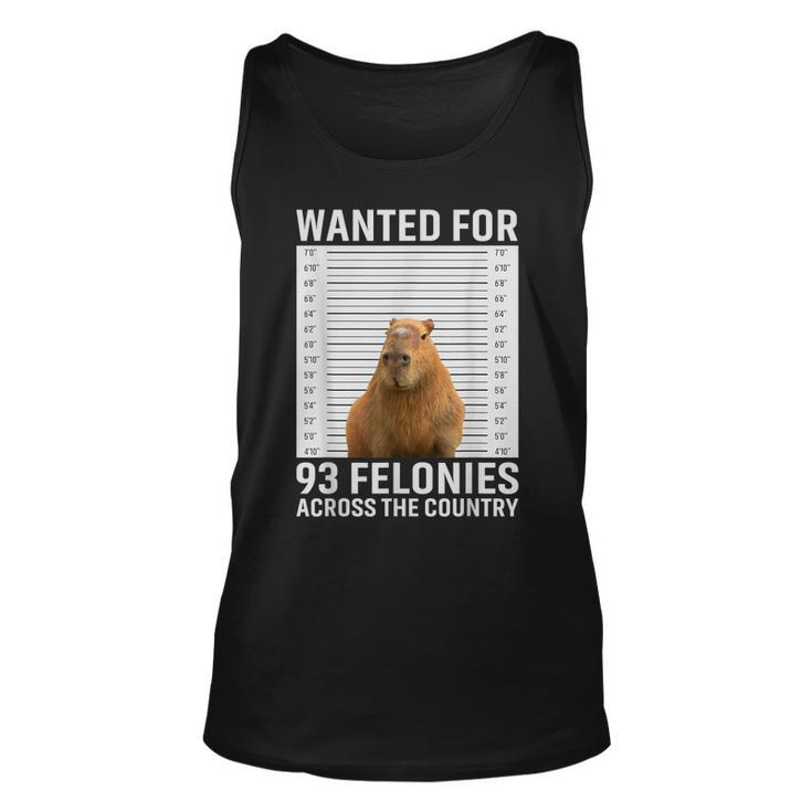 Funny Capybara Hot For 93 Felonies Hilarious Capybara  Unisex Tank Top