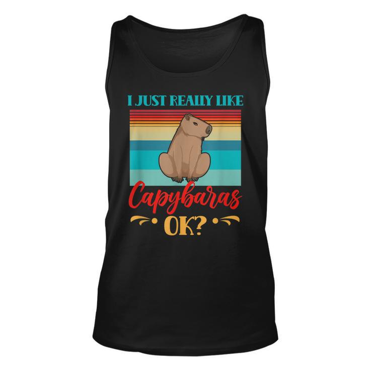 I Just Really Like Capybaras Ok Capybara Rodent Animal  Unisex Tank Top