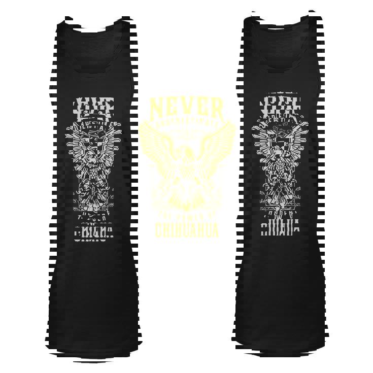 Never Underestimate The Power Of Chihuahua  Personalized Last Name Unisex Tank Top