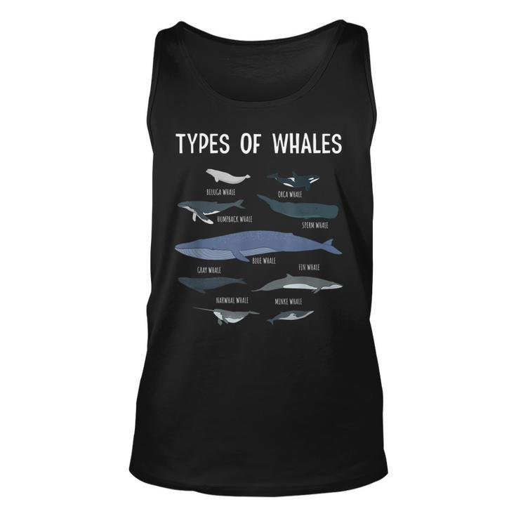 Whale Lover  Whale Lover Gift Types Of Whales  Unisex Tank Top