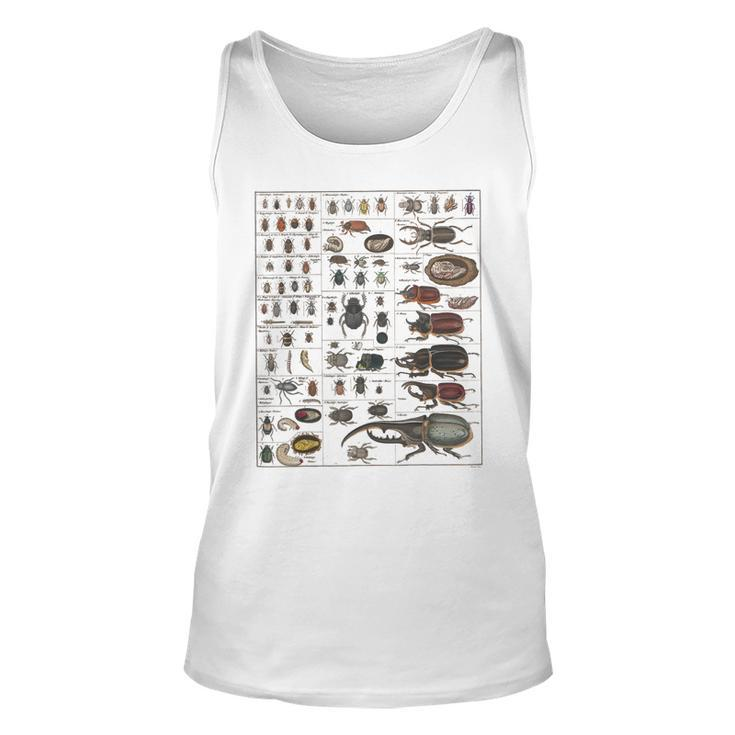 Insects Collection Species Bugs Vintage Chart Entomology  Unisex Tank Top