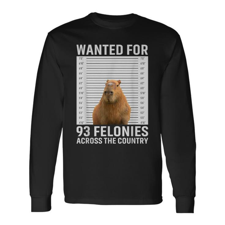 Capybara Hot For 93 Felonies Hilarious Capybara Long Sleeve T-Shirt T-Shirt