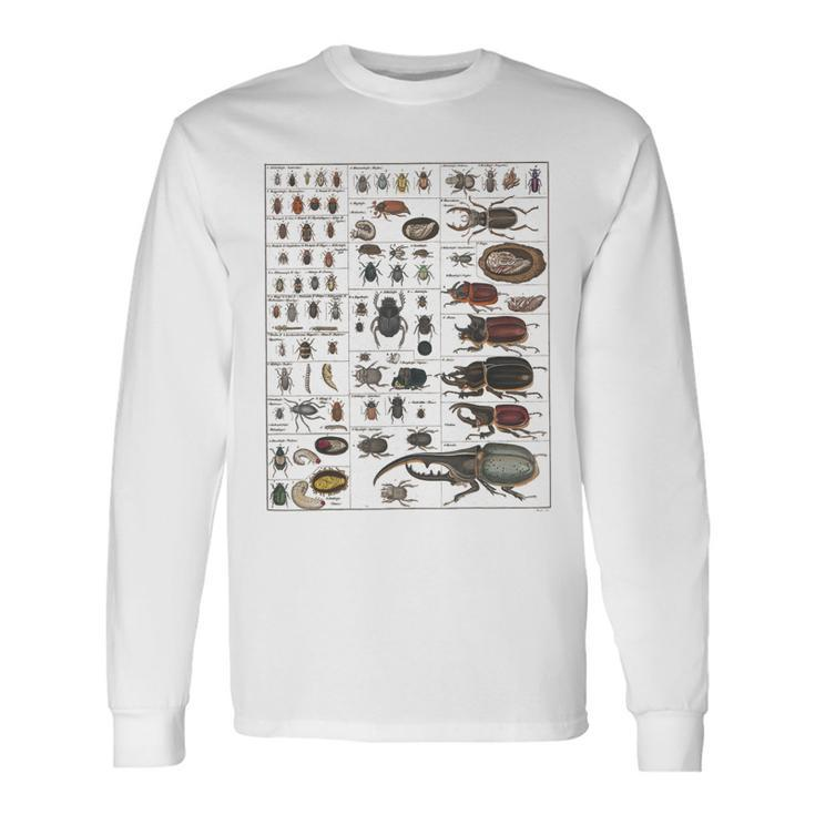 Insects Collection Species Bugs Vintage Chart Entomology Long Sleeve T-Shirt T-Shirt