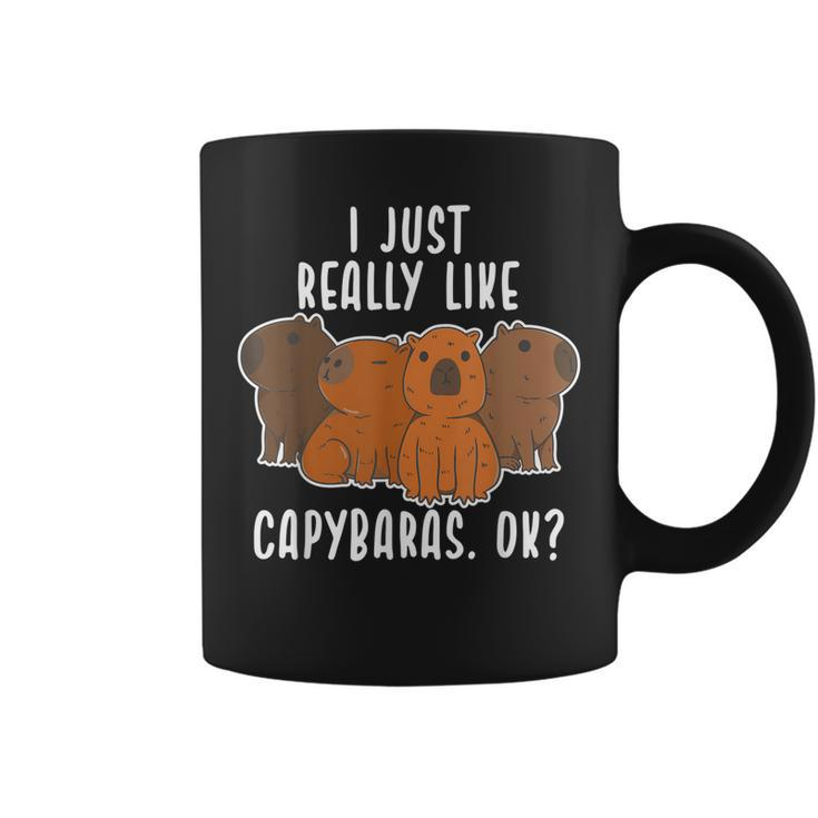 Capybara Gifts I Just Really Like Capybaras OkCute Animal  Coffee Mug