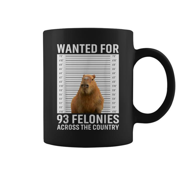 Funny Capybara Hot For 93 Felonies Hilarious Capybara  Coffee Mug