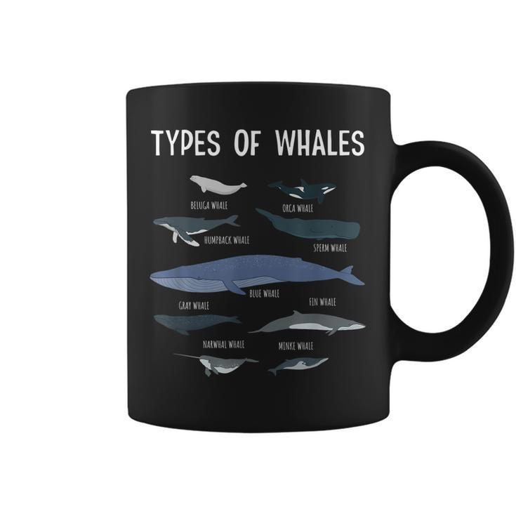 Whale Lover  Whale Lover Gift Types Of Whales  Coffee Mug