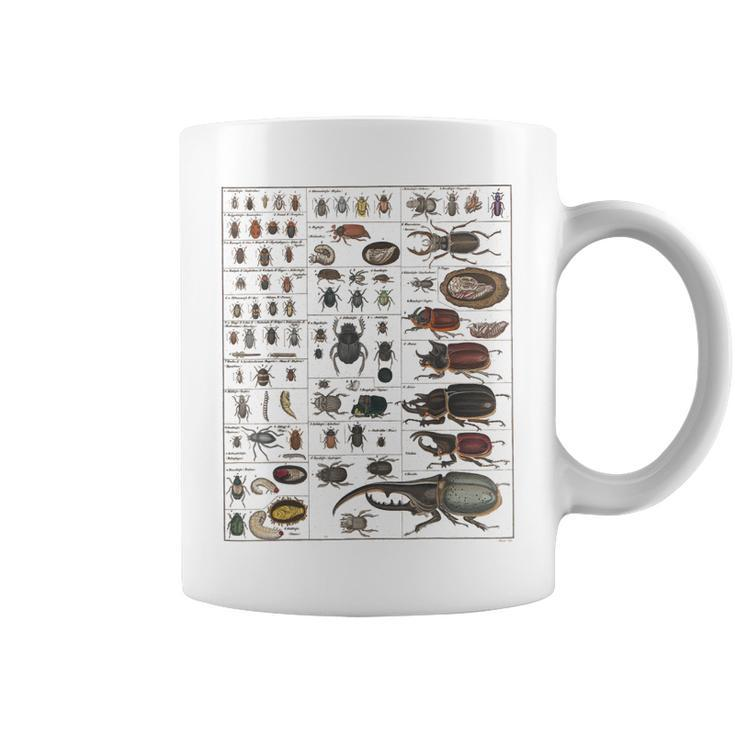 Insects Collection Species Bugs Vintage Chart Entomology  Coffee Mug