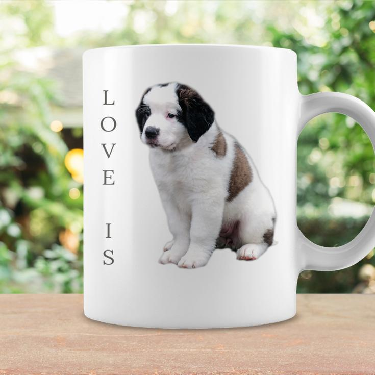 Saint Bernard Women Men Kids Love Dog Mom Dad Pet Coffee Mug Gifts ideas