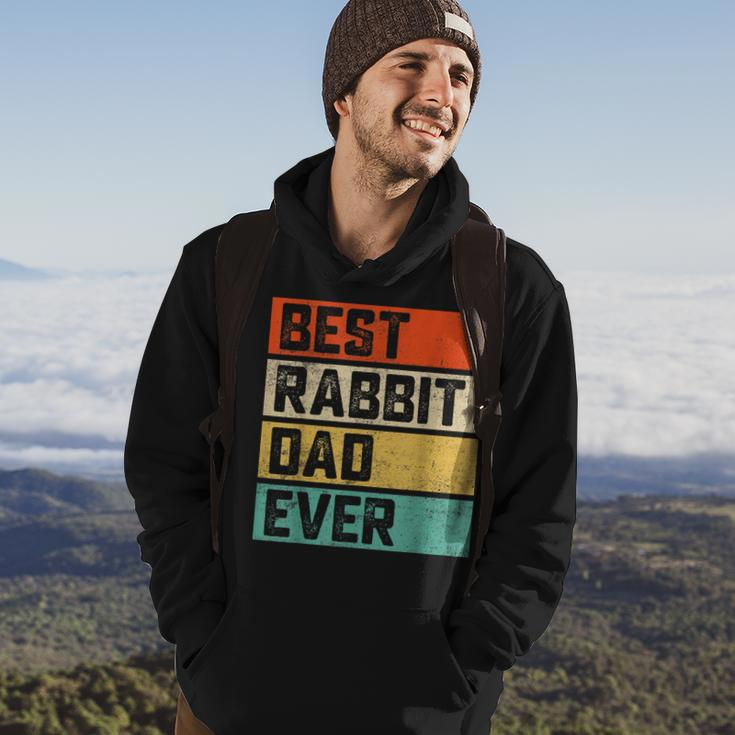 Best Rabbit Dad Ever Funny Rabbits Men Father Vintage Hoodie Lifestyle