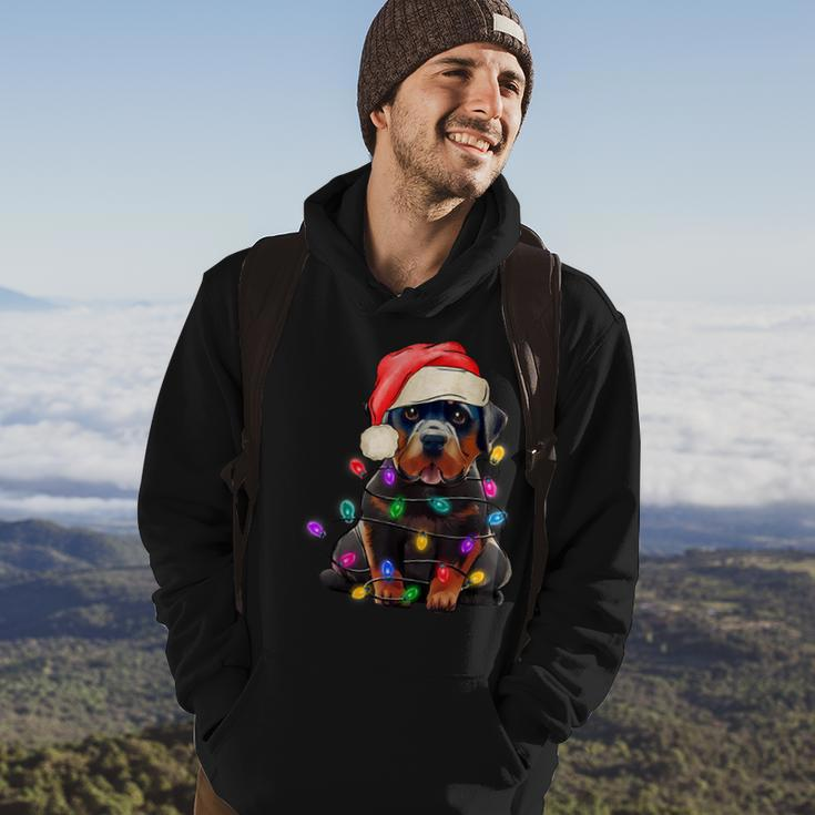 Black Lab Labrador Christmas Tree Light Pajama Dog Xmas Men Hoodie Graphic Print Hooded Sweatshirt Lifestyle