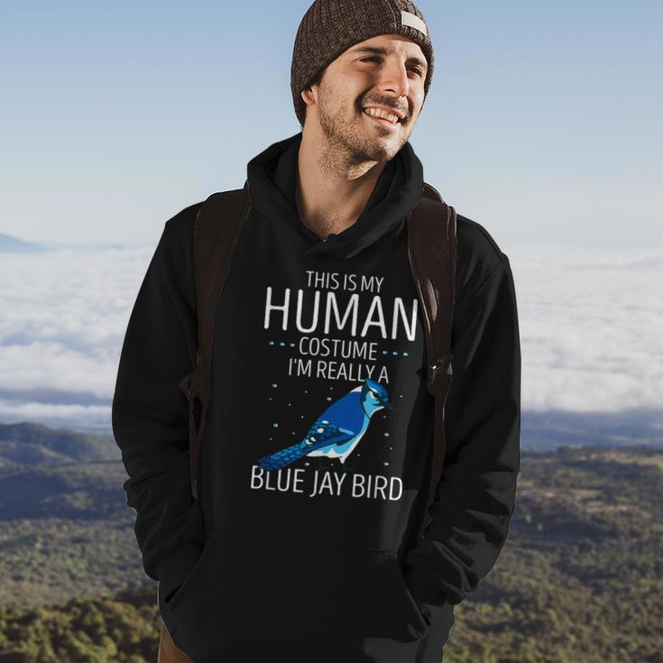 Blauhäher Menschliches Kostüm Hoodie, Stellers Jay Tierisches Design Lebensstil