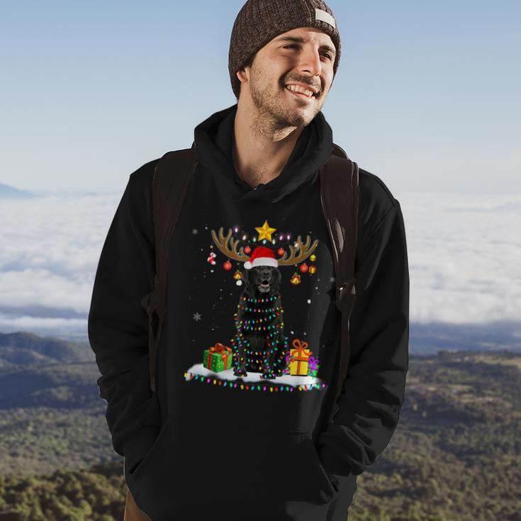 Funny Black Lab Dog Christmas Reindeer Christmas Lights Men Hoodie Graphic Print Hooded Sweatshirt Lifestyle